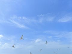 -银滩滨海旅游度假区