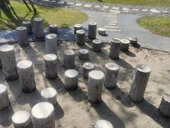 -春花秋色城市公园