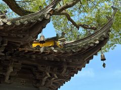 -宝岩生态观光园