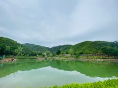 -静之湖度假区