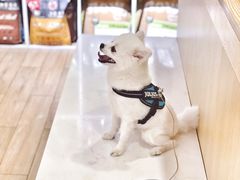 -Double Rui宠物酒店