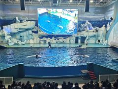 -福州罗源湾海洋世界旅游区