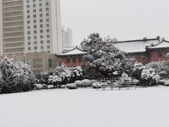 -南京钟山宾馆(江苏省会议中心)