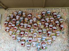 -柴犬高等学院·狗咖·柴犬售卖·宠物训练