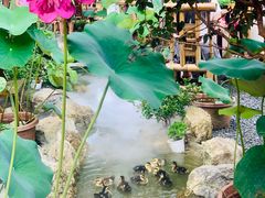 -伴山茶苑·围炉煮茶