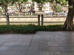 -晓港公园