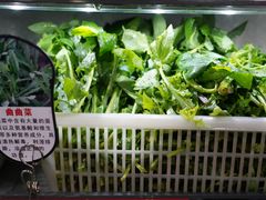 -黔府豆米火锅野菜馆(南马店)