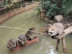 -长鹿旅游休博园