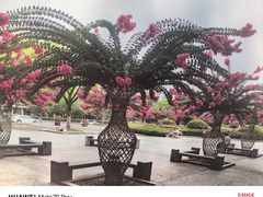 -杭州城北体育公园