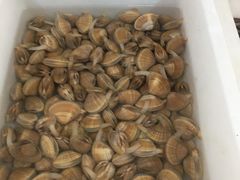 扇贝，生耗，-宾朋海鲜特色美食餐厅·纯手工鲅鱼水饺(兴海路店)