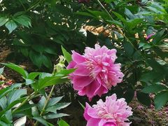 -幕燕滨江·长江观音景区