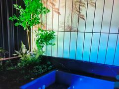 -春晖园度假酒店温泉