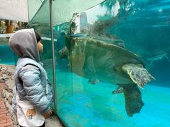 -海合安成都极地海洋公园