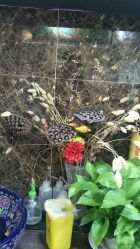 -尚玲纹绣纹眉特价店