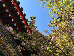 -北京艺术博物馆(万寿寺)