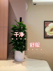 -Yestar艺星整形美容医院