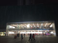 -Apple零售店(中街大悦城店)