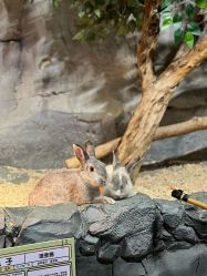 -Zoolung Zoolung动物主题公园(海信广场店)