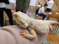 -藦茜花园宠物主题亲子互动体验馆(国顺东路店)