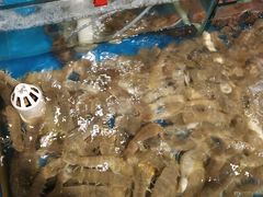 -旺角小渔村(幸福中路店)