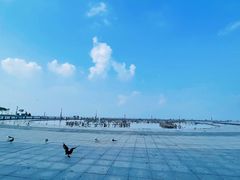 -东港音乐喷泉广场