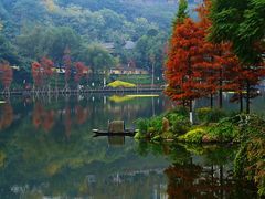 -重庆彩云湖湿地公园
