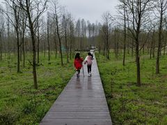 -黄海国家森林公园