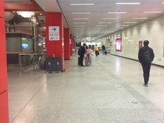 -望京西(地铁站)