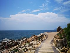-广东惠东海龟国家级自然保护区