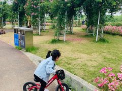 -尚贤河湿地