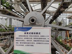 -兴芮温泉度假区