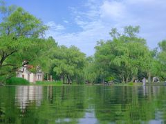 -上海共青森林公园