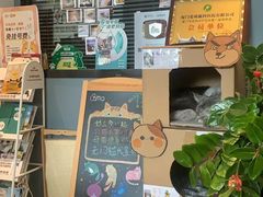 -御宝贝·A梦猫科宠物医院(国际猫友好医院)