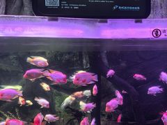 -泉城欧乐堡海洋极地世界