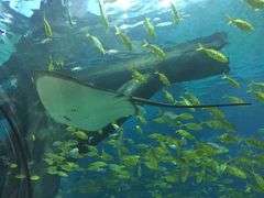 -福州罗源湾海洋世界旅游区