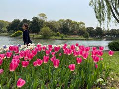 -上海鲜花港