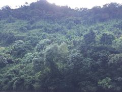 -万泉河漂流