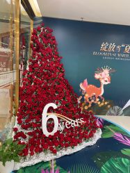 -丰联丽格医疗美容·联合丽格眼整形中心