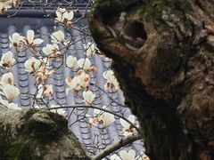 -杭州上天竺法喜讲寺