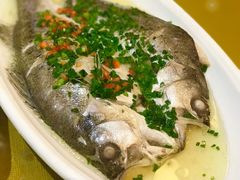 -HOHO餐厅(古子城店)