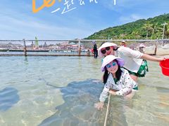 -海南分界洲岛旅游区