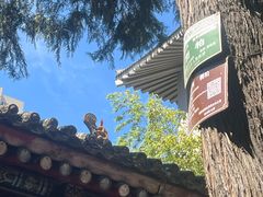 -罔极寺
