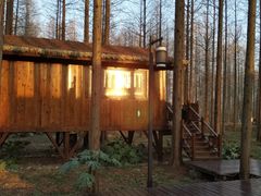 -黄海国家森林公园