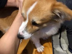-傣妹休闲时尚火锅(星力壹号店)