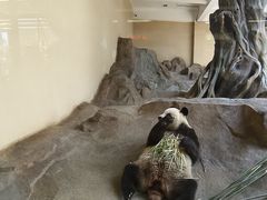 -宁波野生动物园