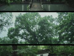 -虎跑公园