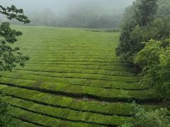-敬亭山风景名胜区