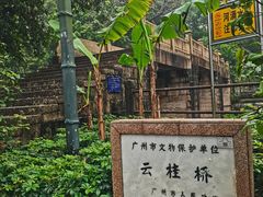 -晓港公园