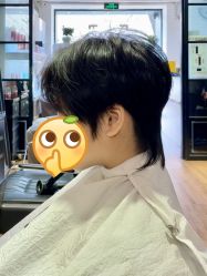 -付军剪艺
