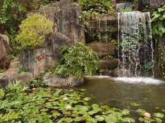 -广州神农草堂中医药博物馆